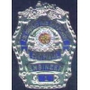 LAFD LOS ANGELES, CA FIRE DEPARTMENT ENGINEER MINI BADGE PIN